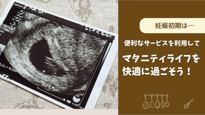 便利なサービスを活用して快適なマタニティライフを送ろう!